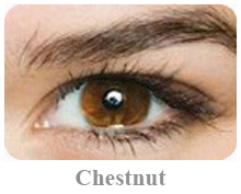 Lentile de contact Acuvue 2 Colours Opac Lentile de contact Acuvue 2 Colours Opac, culoare Chestnut