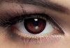 Freshlook Illuminate Freshlook Illuminate