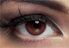 Freshlook Illuminate Freshlook Illuminate